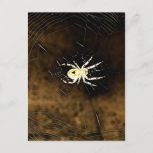 Carte Postale Big Déplaisant Spider sur son Web