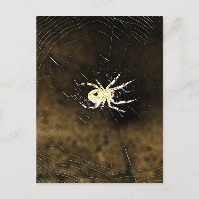 Carte Postale Big Déplaisant Spider sur son Web (Devant)
