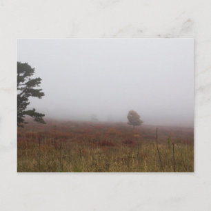 Carte Postale Big Meadows, Parc national de Shenandoah, Virginie