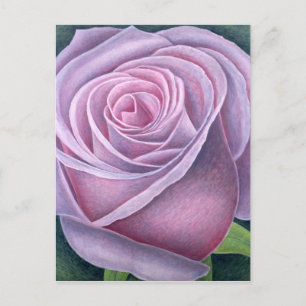 Carte Postale Big Rose 2003