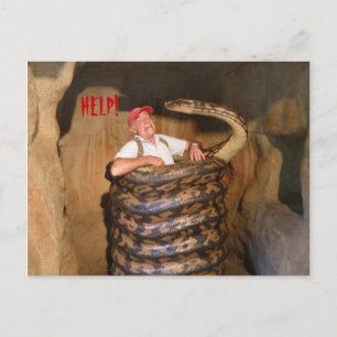 Carte postale Big Snake QLD Australie