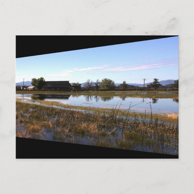 Carte Postale Big Springs (Devant)