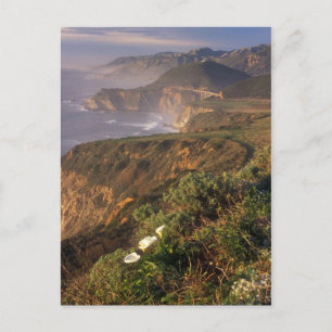 Carte Postale Big Sur Côte Californie