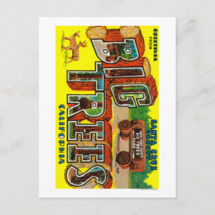 Carte Postale Big Trees, Californie - Scènes de grandes lettres