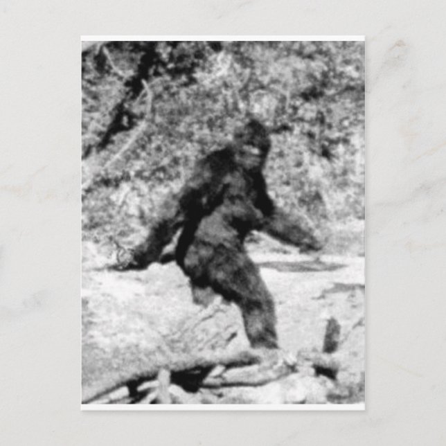 Carte Postale Bigfoot (Devant)