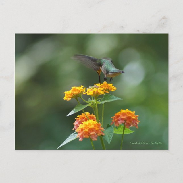 Carte Postale Bijou de danse (Devant)