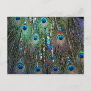 Carte Postale Bijoux Peacock