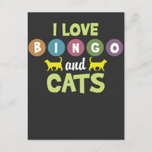 Carte Postale Bingo Et Chats Drôle Kitten Animal Animaux Amateur