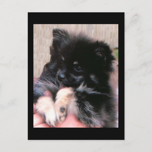 CARTE POSTALE BINKIE (Devant)