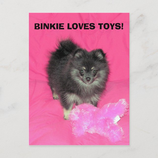 CARTE POSTALE BINKIE AIME LES JOUETS ! (Devant)