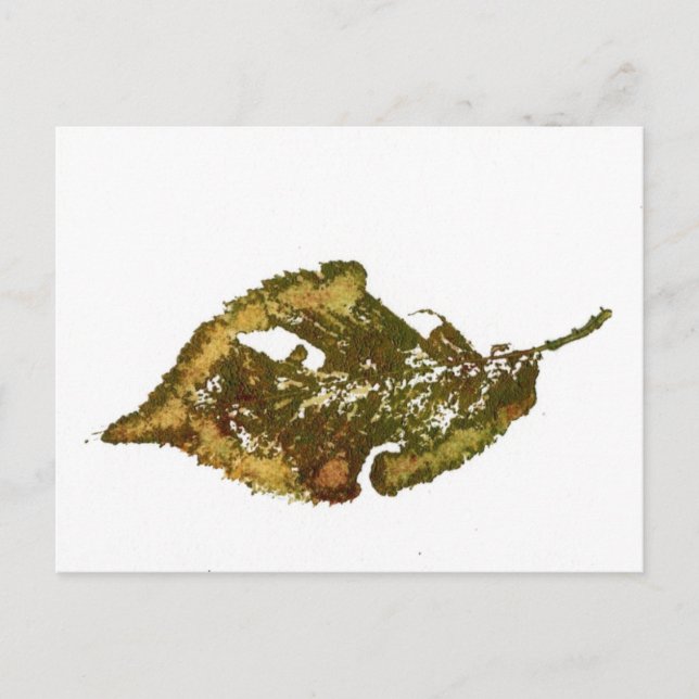 Carte postale "Birch #2" (Devant)