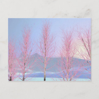 Carte Postale Birch à la crème de framboise