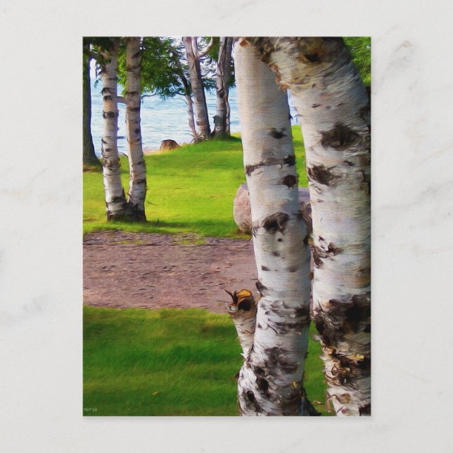 Carte Postale Birch Trees Du Michigan Par Lac (Devant)