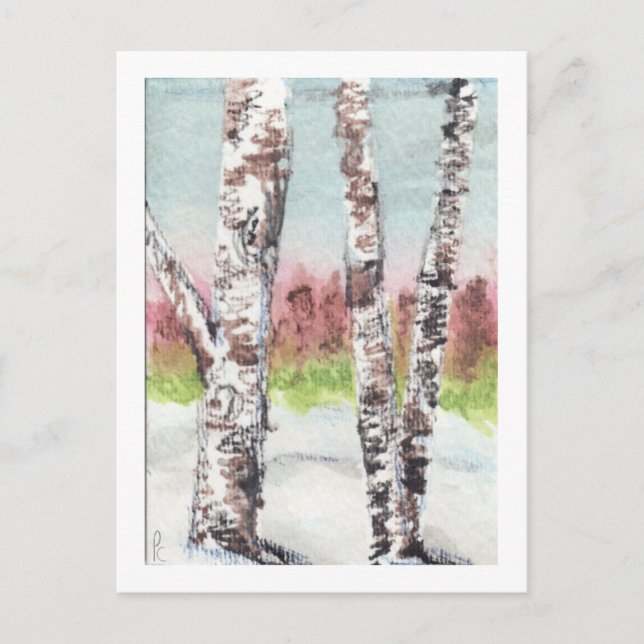 Carte postale Birch Woods (Devant)