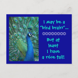 Carte Postale Bird Brain But Nice Tail