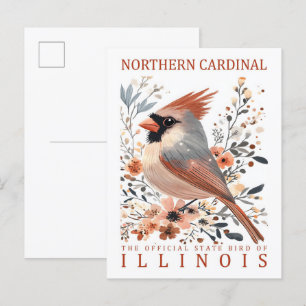Carte Postale Bird Cardinal du Nord de l'Illinois USA Travel