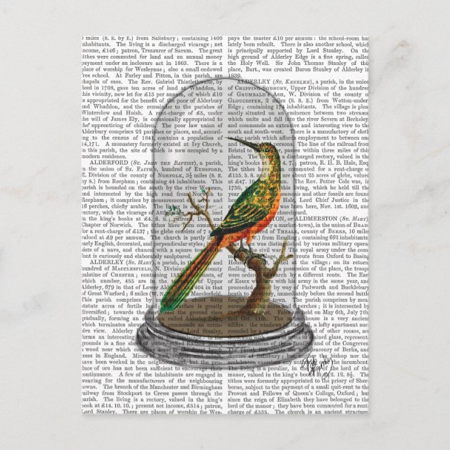 Carte Postale Bird In Bell Jar (Devant)