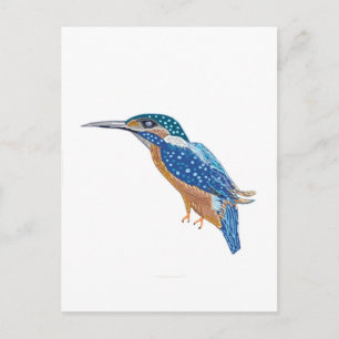 Carte Postale Bird KingFisher