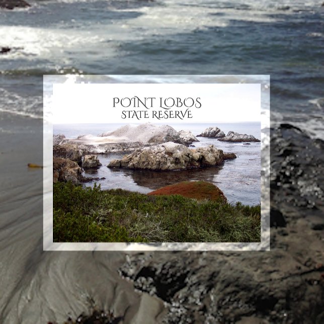 Carte Postale Bird Rock, Réserve d'état de Point Lobos (Créateur téléchargé)