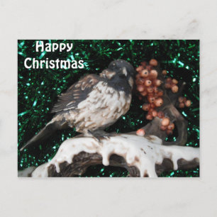 Carte postale Bird Winter Scène