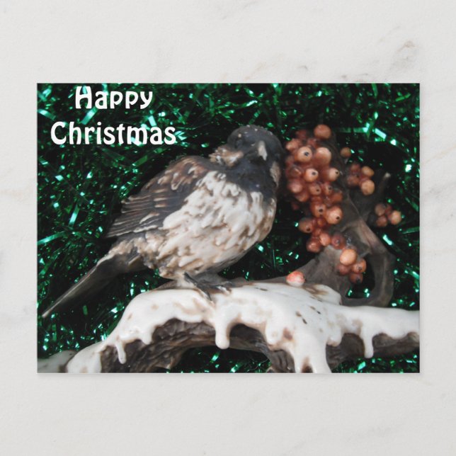 Carte postale Bird Winter Scène (Devant)