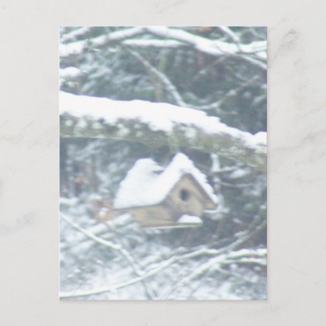 Carte Postale birdhouse dans la neige (Devant)