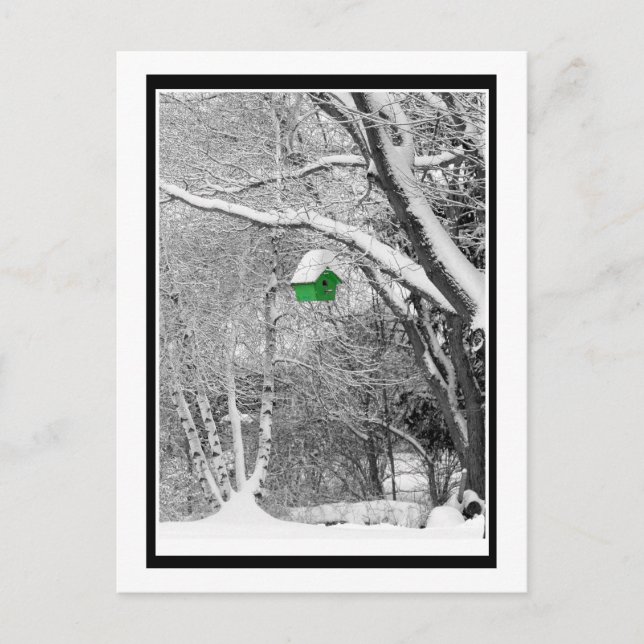 Carte Postale Birdhouse d'hiver (Devant)