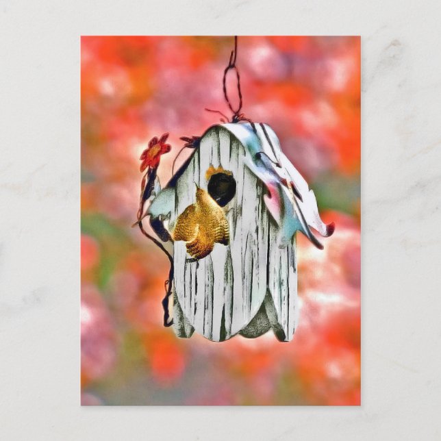 Carte Postale Birdhouse Et Wren (Devant)