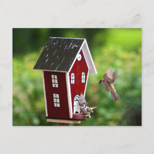 Carte Postale BirdHouse/Fågelhus