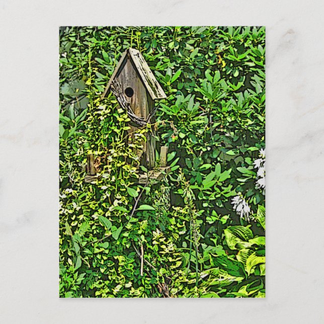 Carte Postale Birdhouse in Garden (Devant)