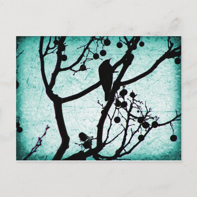 Carte Postale Birdie (Devant)