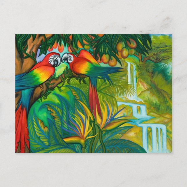 Carte Postale Birds of Paradise Postcard (Devant)