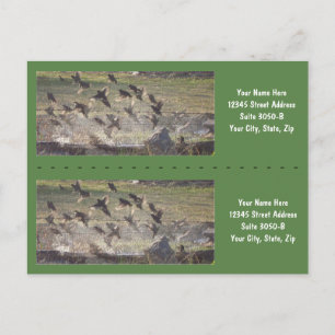 Carte Postale Birds Rising Bookmarkers - Personnaliser !
