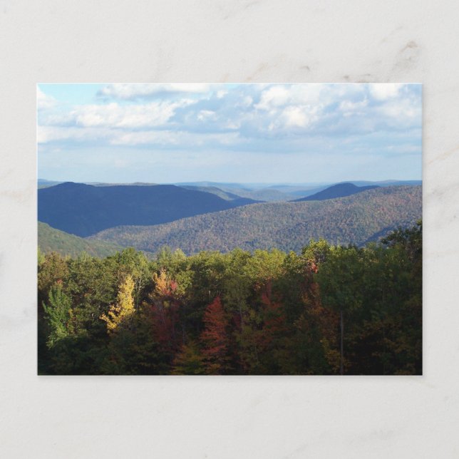 Carte Postale Birkshires (Devant)