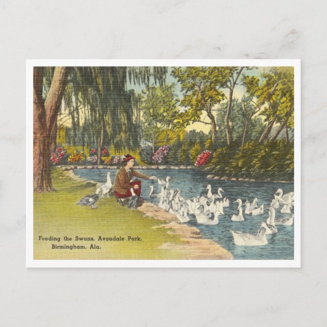 Carte Postale Birmingham Alabama Vintage Avondale Park (Devant)