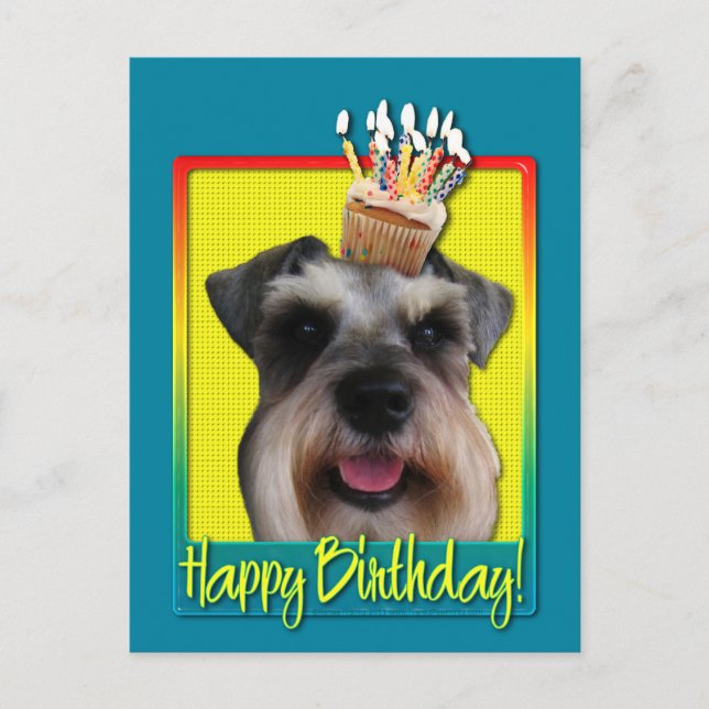 Carte Postale Birthday Cupcake - Schnauzer (Devant)
