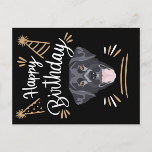 Carte Postale Birthday Gift Black Labrador