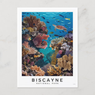 Carte Postale Biscayne National Park Coral