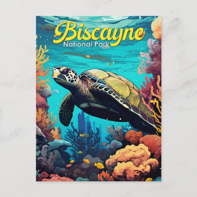 Carte Postale Biscayne National Park Turtle Illustration Retro (Devant)