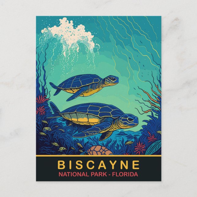 Carte Postale Biscayne, Tortues Sous-Marines, Floride, Voyage (Devant)