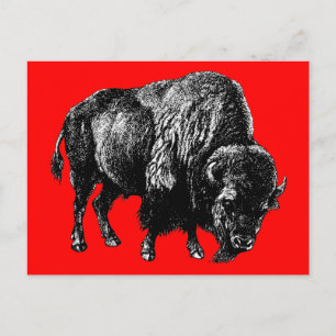 Carte Postale Bison américain de Buffalo Vintage Bois Gravure