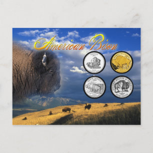 Carte Postale Bison américain sur pièces