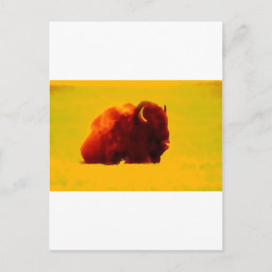 Carte Postale Bison assis
