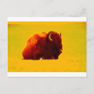 Carte Postale Bison assis