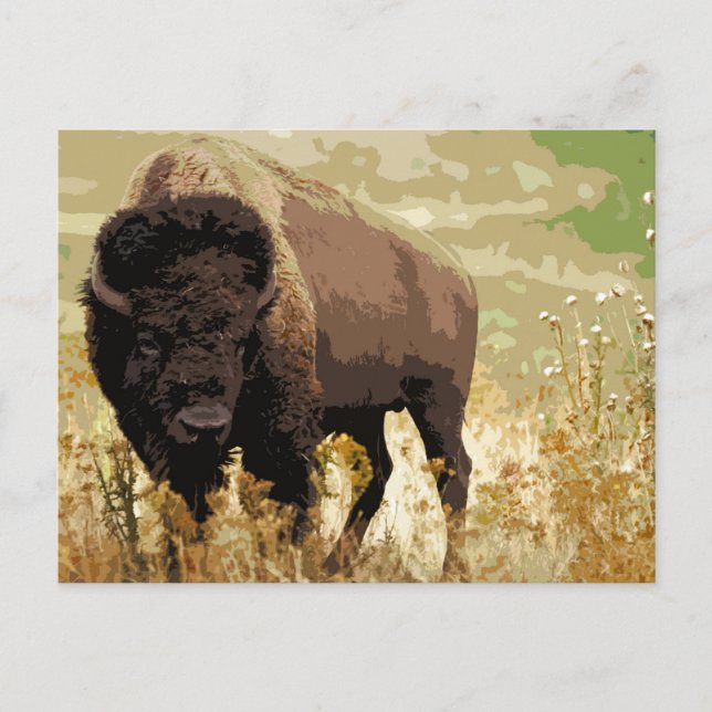 Carte Postale Bison / Buffle (Devant)