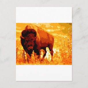 Carte Postale Bison / Buffle