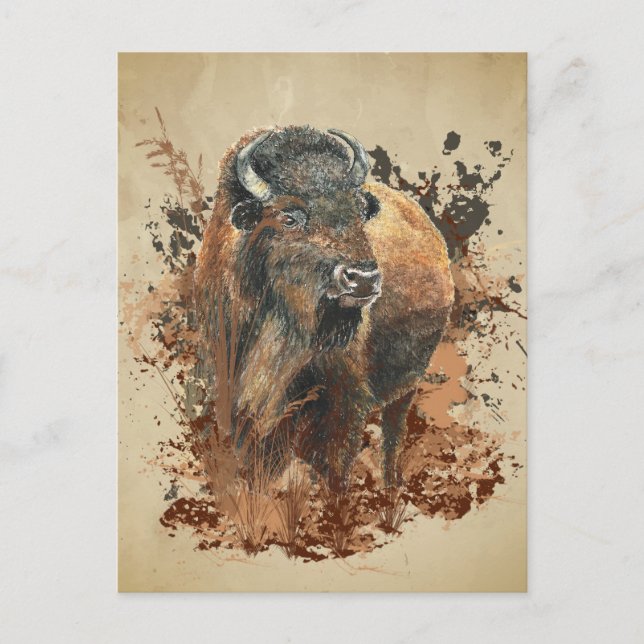 Carte Postale Bison Buffle Animalier Nature Faune Aquarelle Wo (Devant)