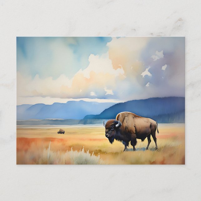 Carte Postale Bison dans la prairie (Devant)