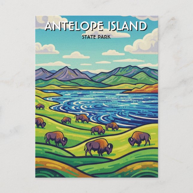 Carte Postale Bison dans le parc d'État d'Antelope Island Utah (Devant)