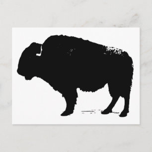 Carte Postale Bison de Buffalo Art noir et blanc